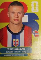 Erling Haaland Sticker WM 2026
