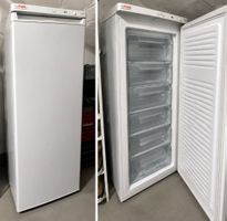 Gefrierschrank 55 × 55 × 140 cm – voll funktionsfähig