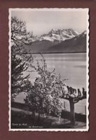 MONTREUX - Dents du Midi - 1946