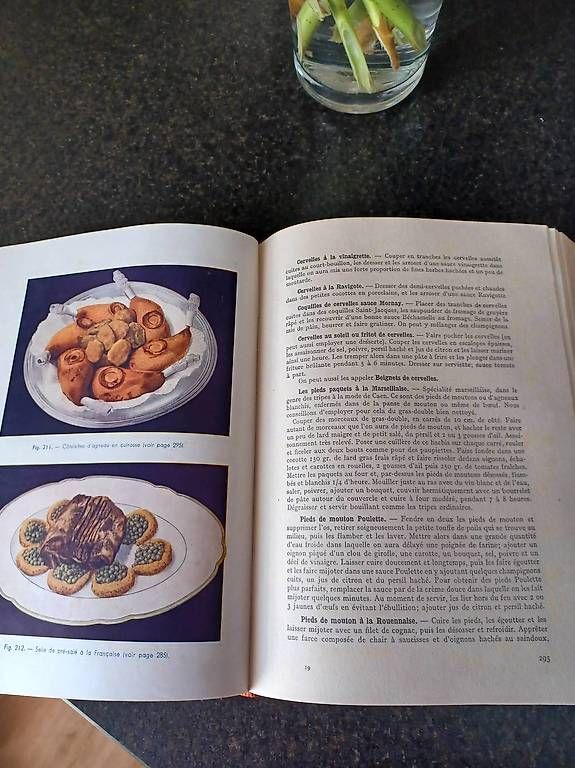 Libri: Livre de recettes – Usato da Soyhières venduto da 5jm_5czl 3