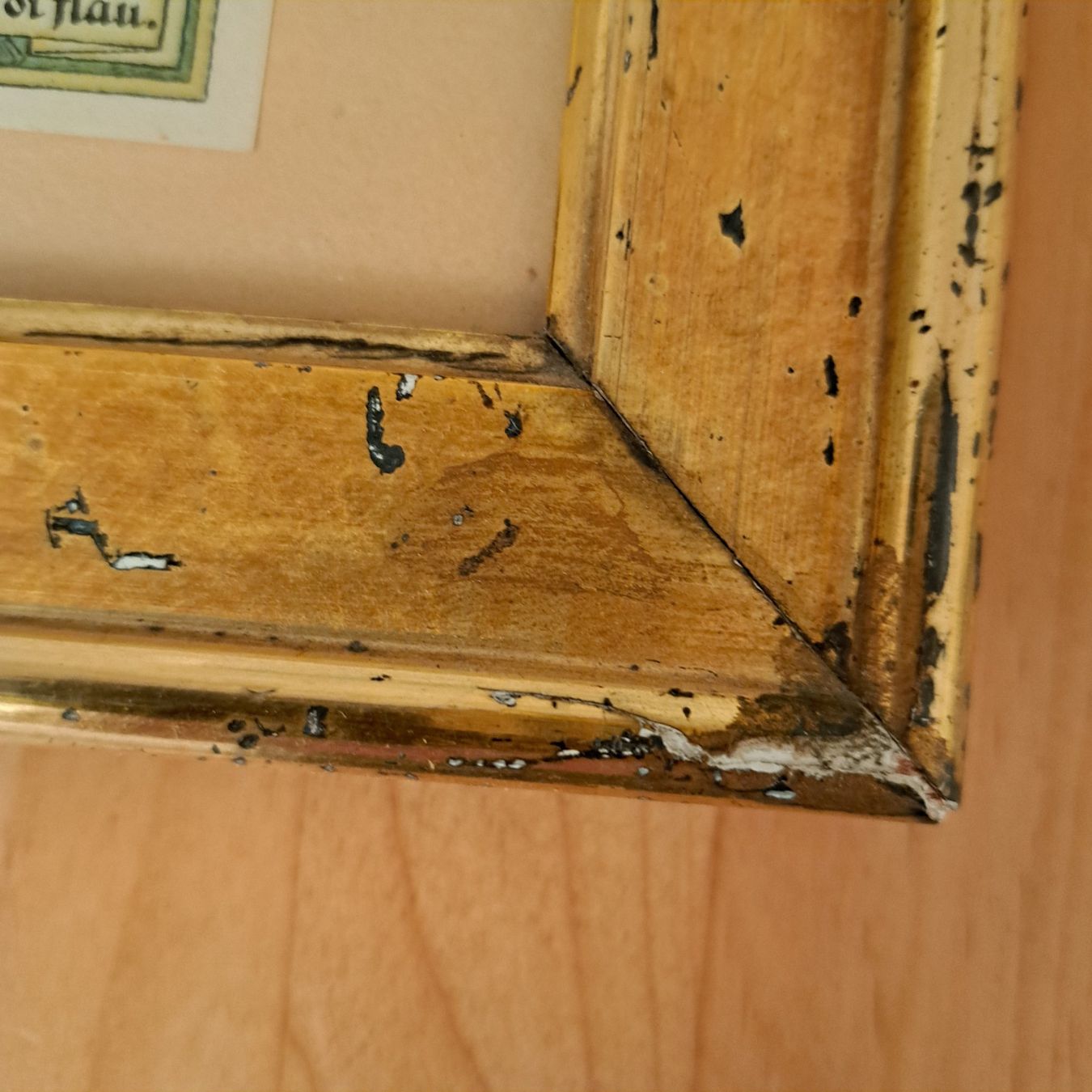Banconote: Notgeld von Sylt – Usato da Grüningen venduto da Tappio 4