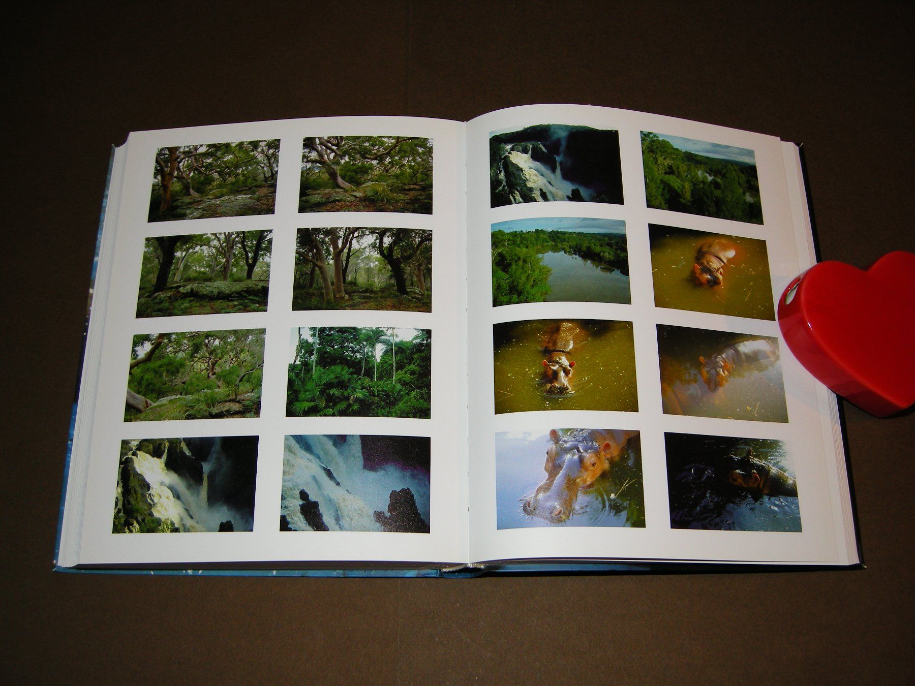 Libri: Sichtbare Welt / Peter Fischli, David Weiss – Usato da Aarau venduto da Pearlz 6