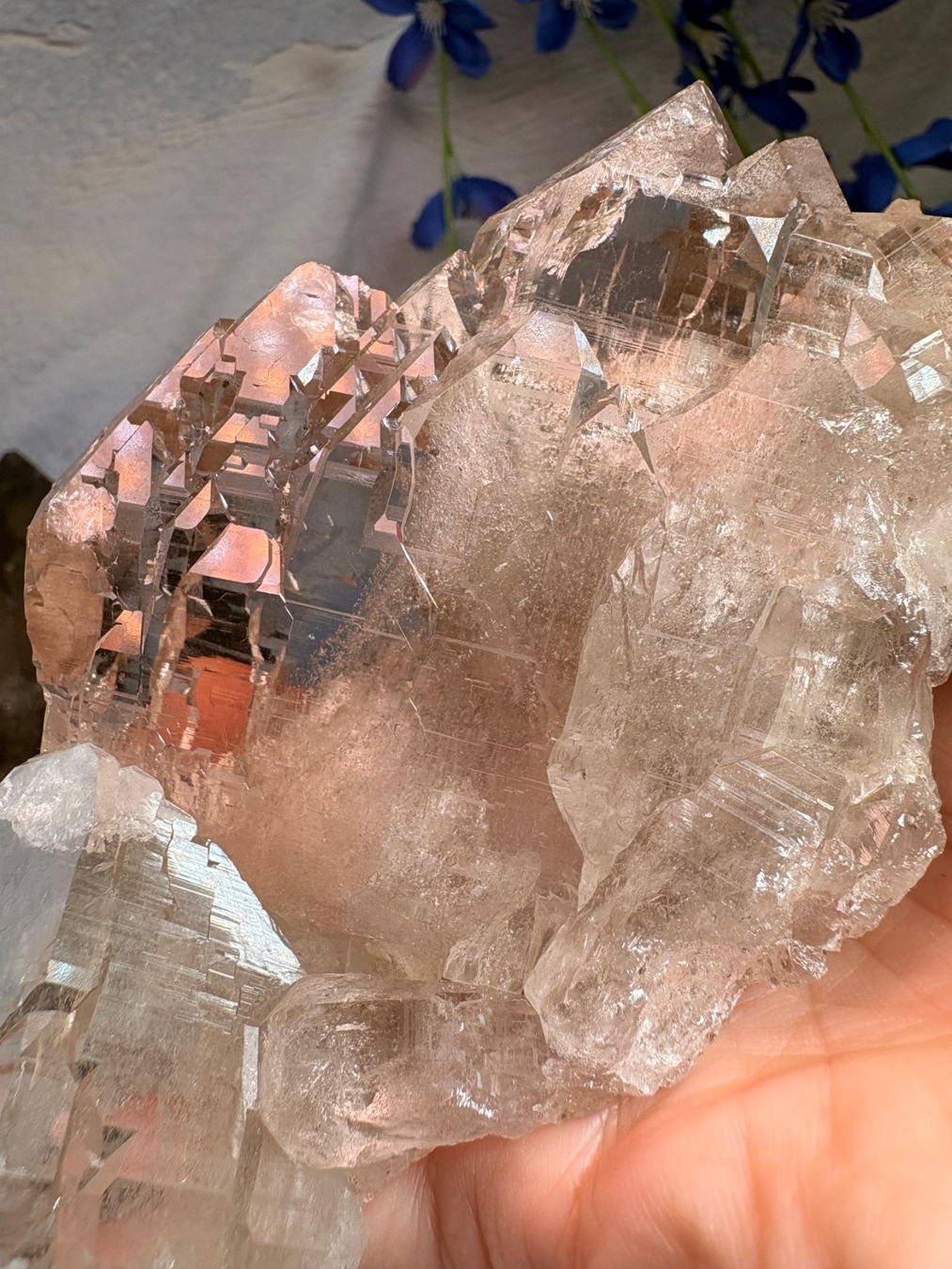Pietre preziose: Rauchquarz Gwindel Grimelpass – Nuovo e nell'imballaggio originale da Neuheim venduto da m.hald 4