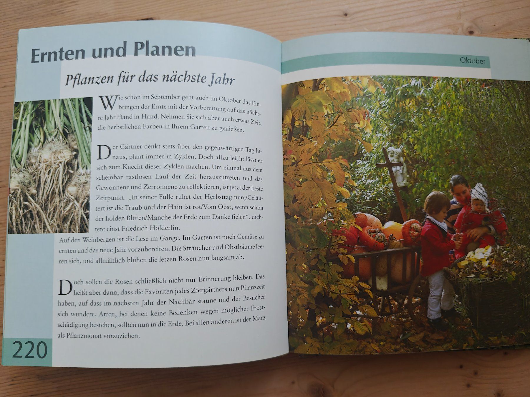 Bücher: Gartenkalender / Ratgeber - jeden Monat einzeln – Gebraucht aus Muttenz von IkaSul 3
