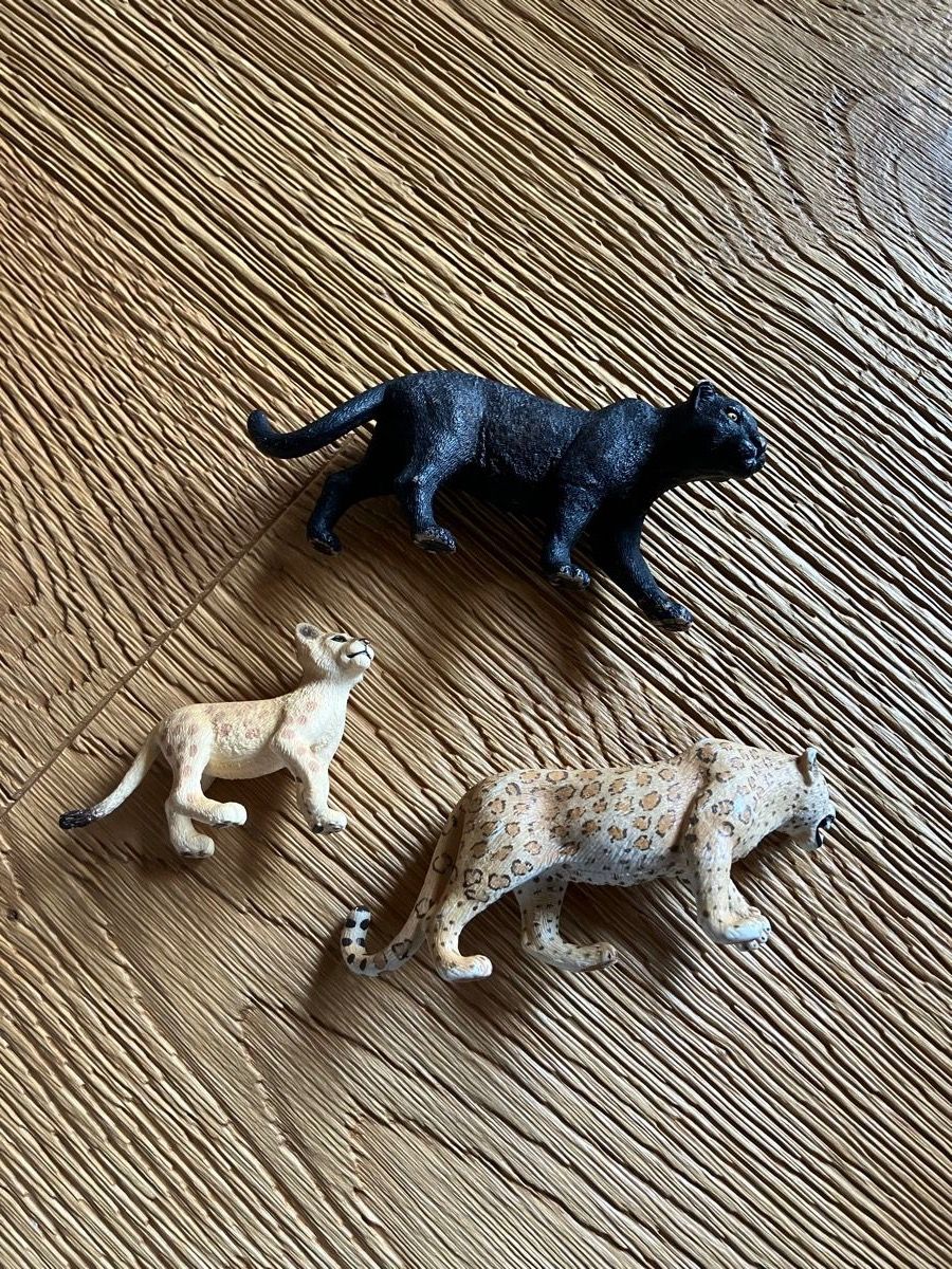 Schleich Giocattoli: Schleich Raubkatzen 3x – Usato da Bever venduto da dvojca