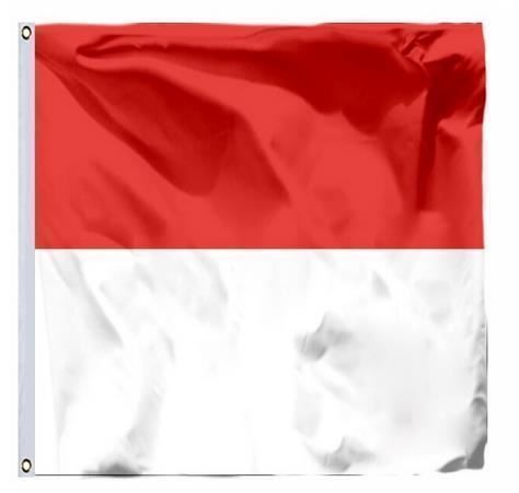 Bandiere: Schweizer Flagge des Kantons Solothurn 90x90cm – Nuovo e nell'imballaggio originale da Gurmels venduto da Swisspod