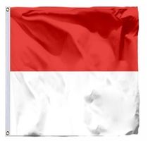Schweizer Flagge des Kantons Solothurn 90x90cm