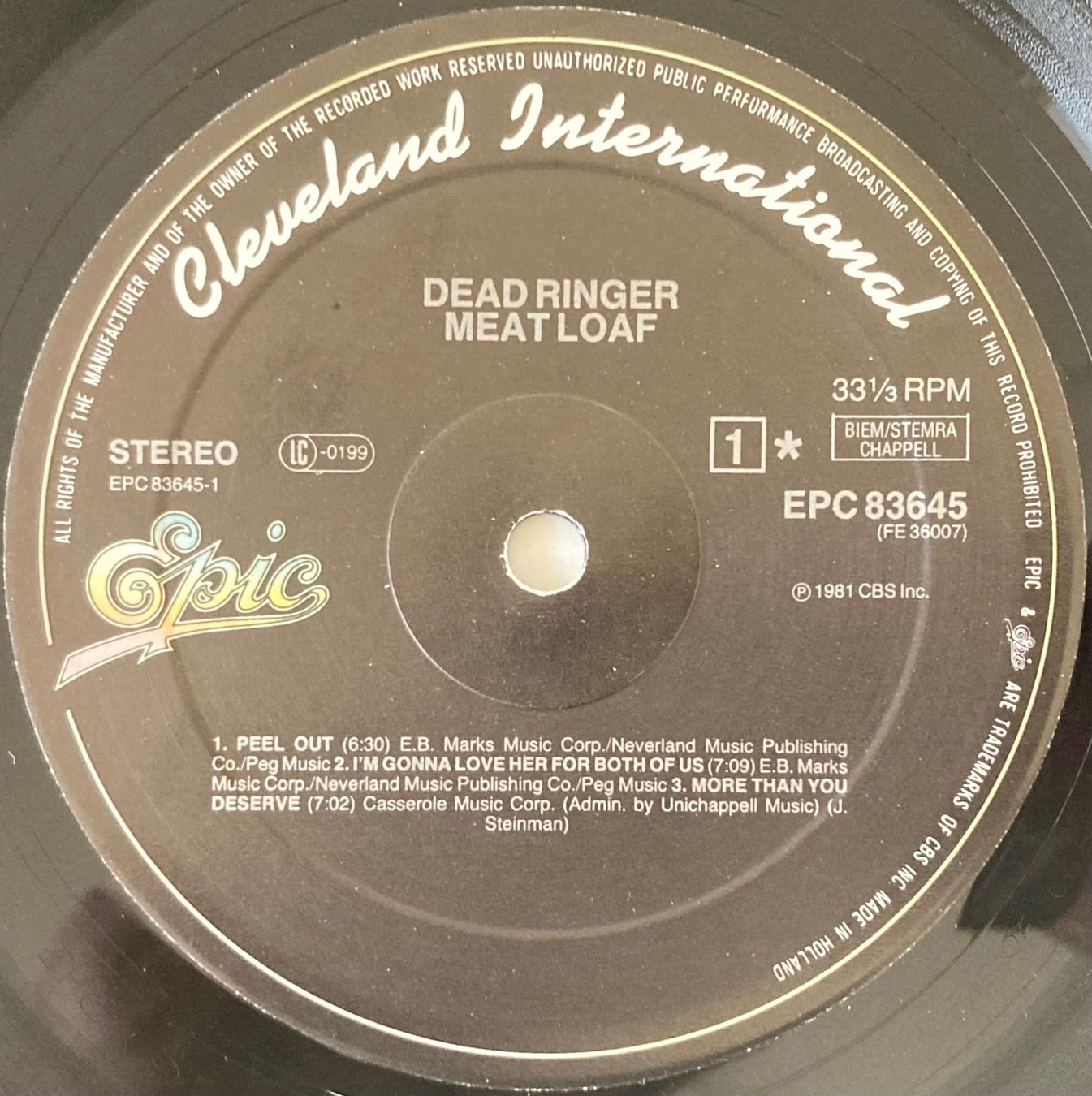 Dischi in vinile: MEAT LOAF - DEAD RINGER – Usato da Poliez-Pittet venduto da Newtown-Records 3