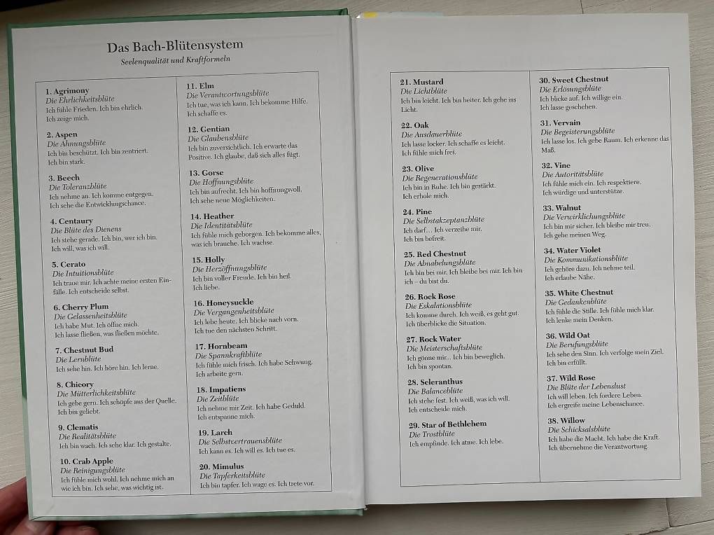 Libri: Die Original Bach-Blüten Therapie - Mechthild Scheffer – Nuovo (secondo la descrizione) da Zürich venduto da bekni 2