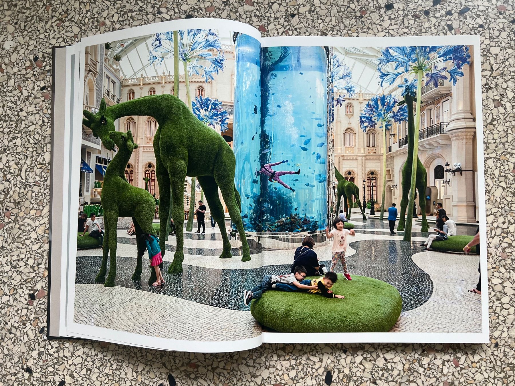 Libri: The Pearl River, Christian Lutz, Edition Patrick Frey – Usato da Zürich venduto da Boodgie 2
