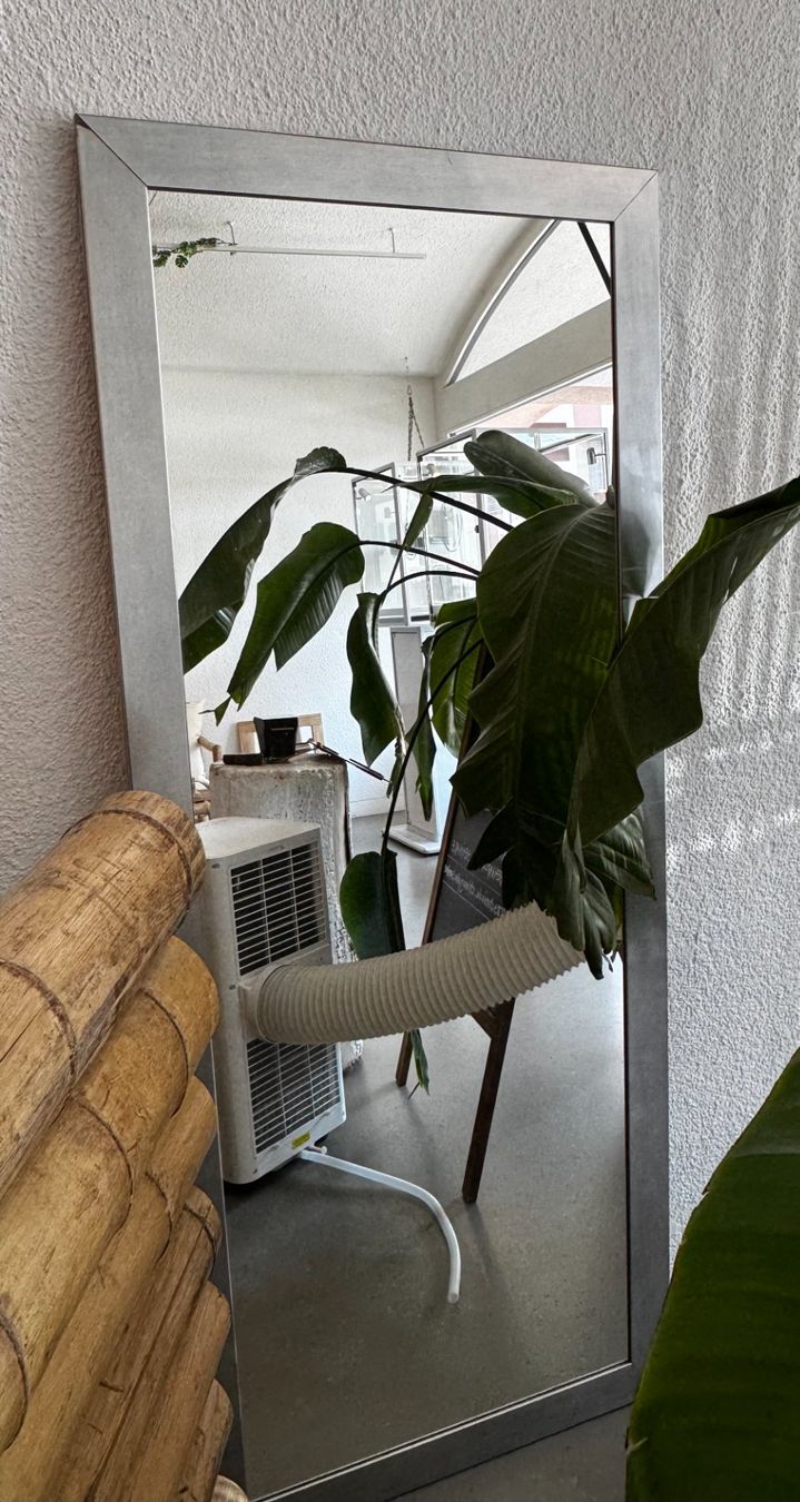 Specchi: Spiegel - 168 x 68cm – Usato da Rüti ZH venduto da HawaiiLove 7