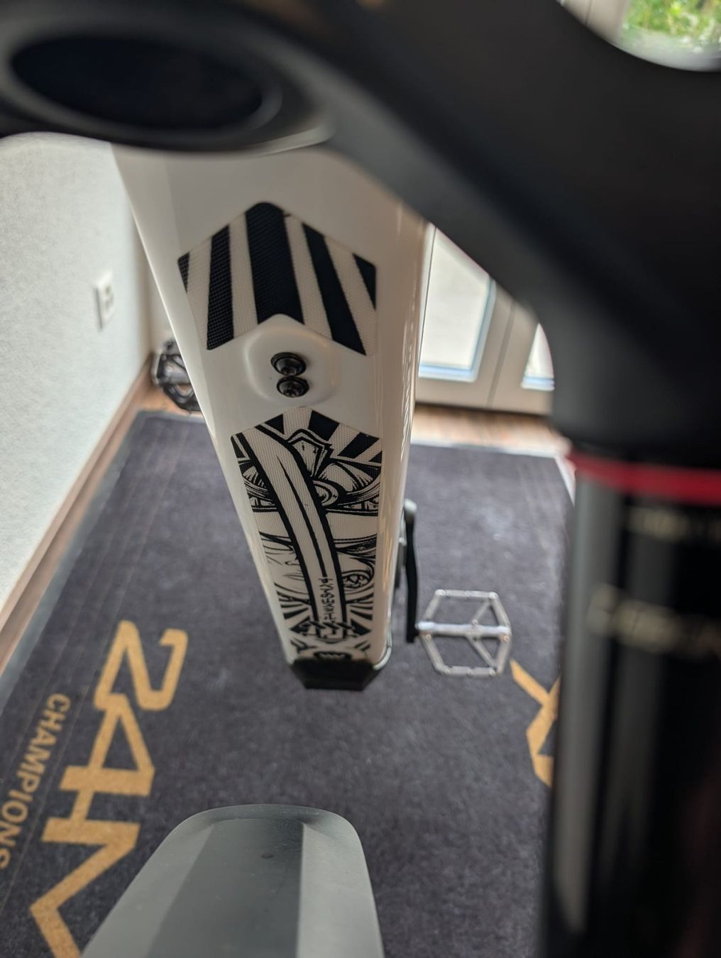 Canyon Biciclette: Canyon Strive On CFR LTD Enduro MTB EMTB – Usato da Ziefen venduto da OLDSCHOOL_MTB 3
