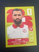 Panini FIFA World Cup Sticker TUN 7