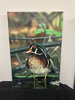 Hochwertiger Ölkunstdruck – Brautente (Wood Duck)