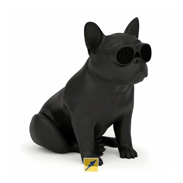 Casse acustiche: ENCEINTE AEROBULL XS1 BLACK – Usato da Carouge GE venduto da hcashcarouge 2