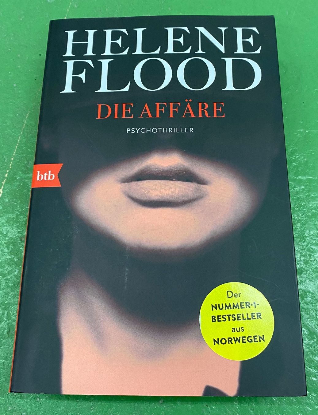 Bücher: Helene Flood: Die Affäre – Gebraucht aus Basel von Ostschweiz06