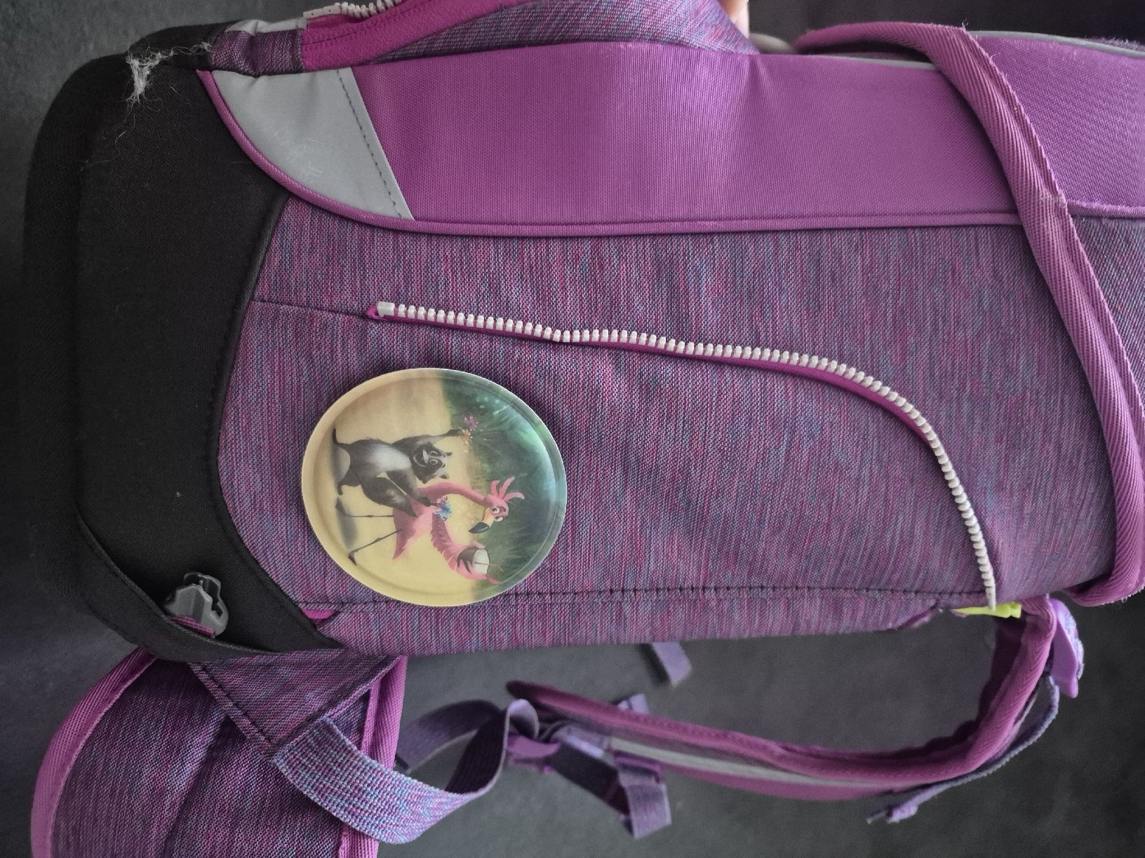 Ergobag Borse & Zaini: Ergobag Schulrucksack Set lila  – Usato da Goldau venduto da Neocity 3