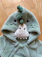 Fasnacht / Winter Overal Dinosaurier 9-12 Monate