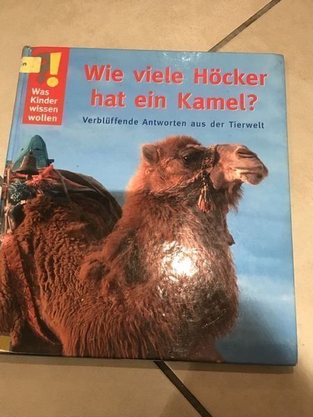 Libri: Wie viele Höcker hat ein Kamel? – Usato da Bergdietikon venduto da book-4-you