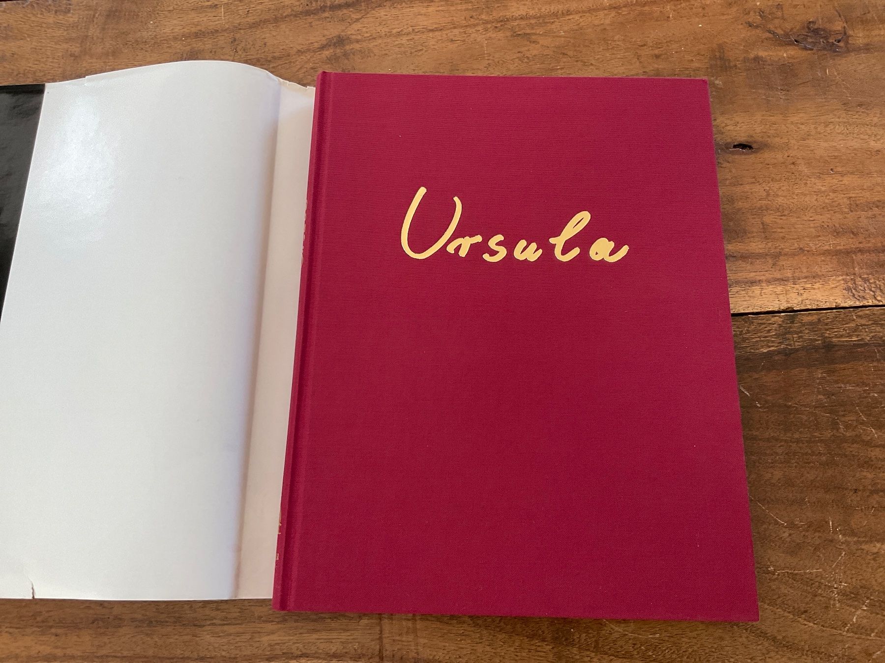 Libri: Ursula. Retrospektive, Werke 1951-1992 – Usato da Avenches venduto da Tinkey 9