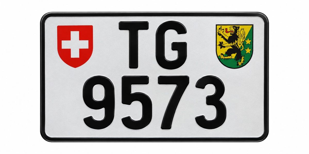 Insegne: Motorrad Nummer: TG 9573 – Usato da Matzingen venduto da jiri88