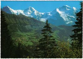 Wengen -  Eiger, Mönche, Jungfrau