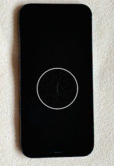 Apple Telefoni cellulari / Smartphones: iPhone 12 Pro Max, 128 GB – Usato da Zürich venduto da ante1ope 2
