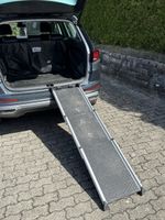 Hunderampe Kleinmetall