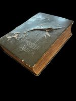 Antikes Postkarten- & Grusskartenalbum Schweiz um 1900