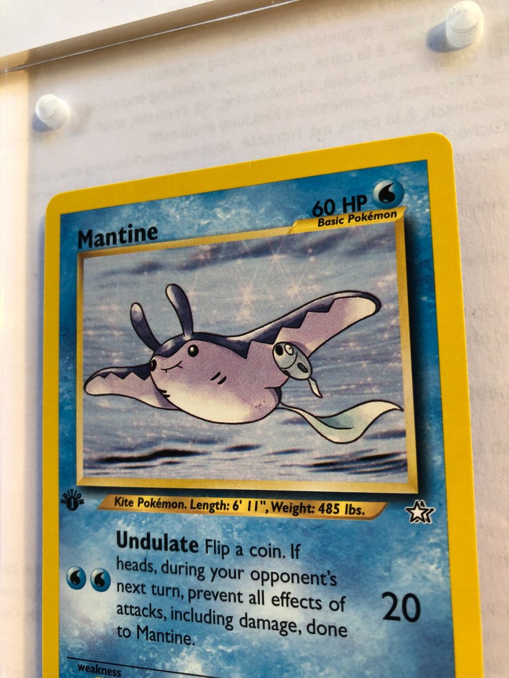 Sammelbilder & Trading cards: Mantine 1st Neo Genesis - MINT - ab 1.- – Gebraucht aus Giubiasco von dan_pr8b 3