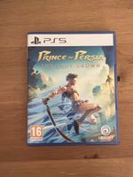 Prince of Persia The Lost Crown Ps5