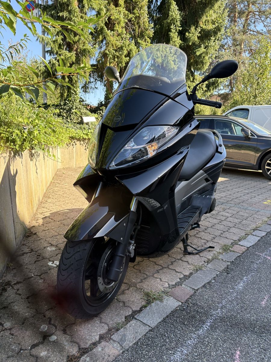 Tell Scooters: Tell Silverblade 250 – Gebraucht aus Mettmenstetten von SimonLehmann89 2