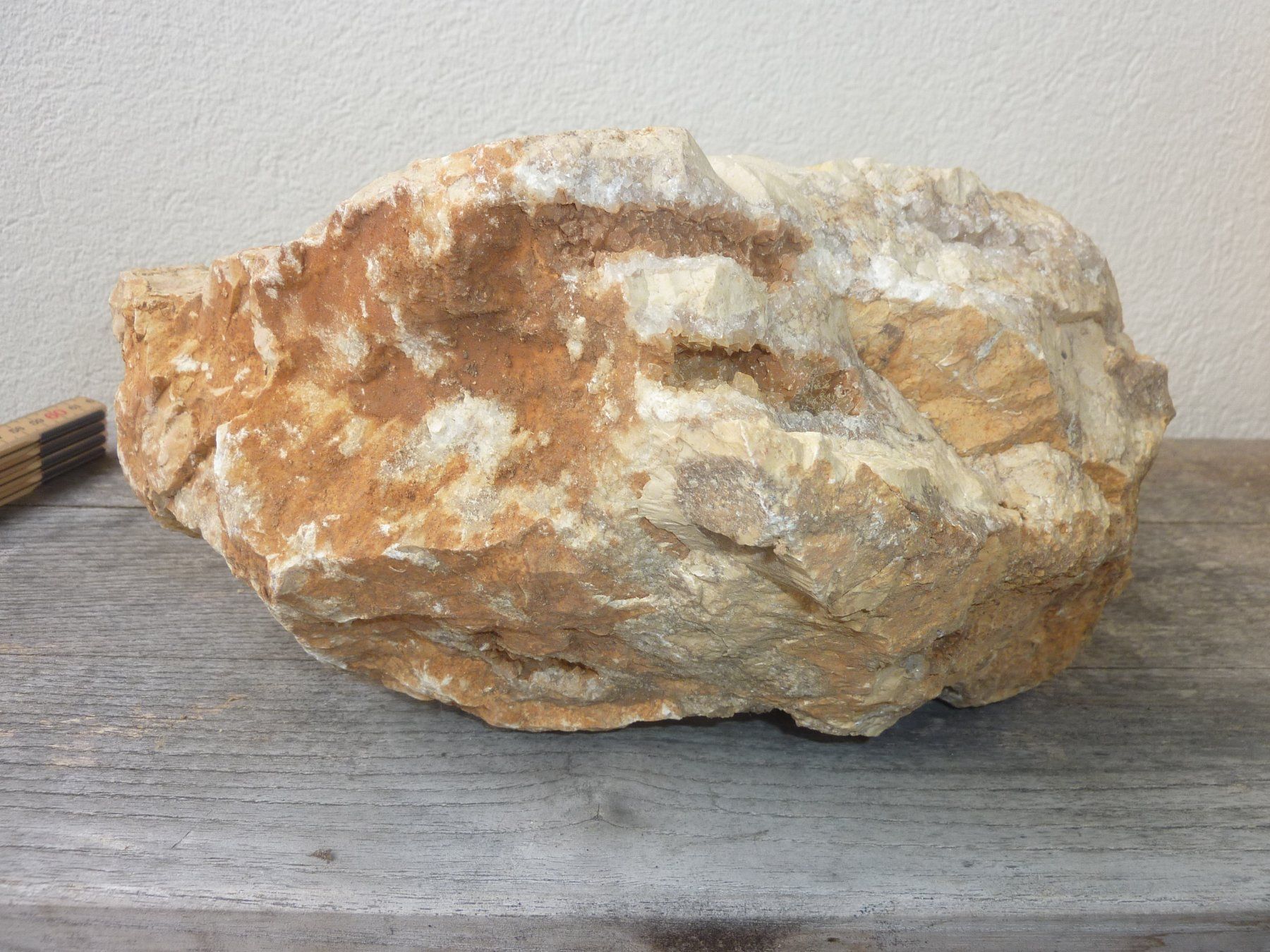 Fossili: Grosse, versteinerte Koralle, Rohstein – Nuovo (secondo la descrizione) da Triengen venduto da Nussbaum14 8