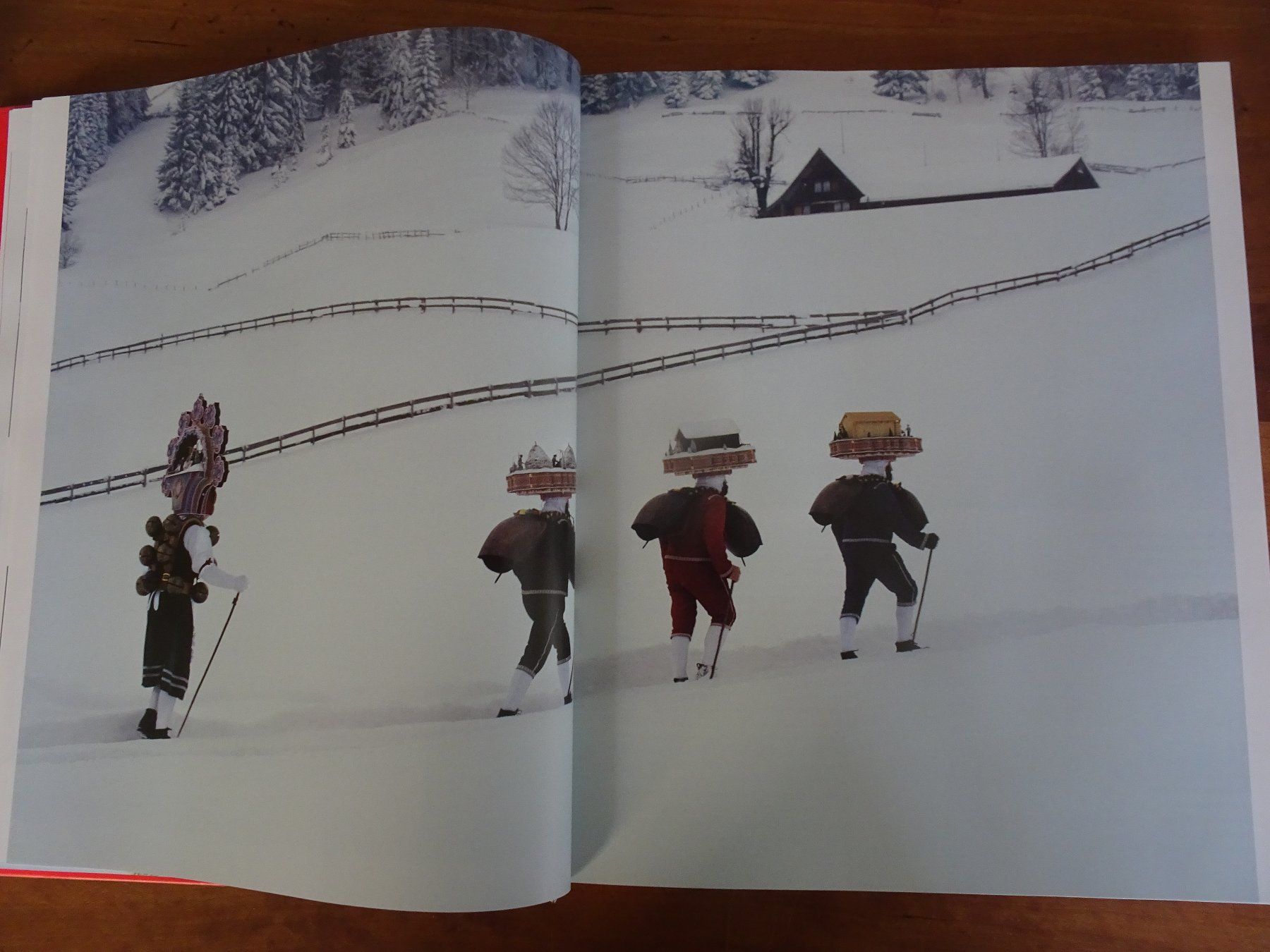 Libri: Feste im Alpenraum – Usato da männedorf venduto da purzelchen 4