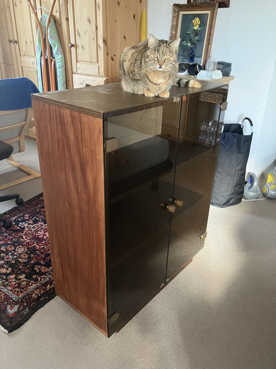 Vitrinen: Vitrine, braun – Gebraucht aus Horn von nat_97wq 3