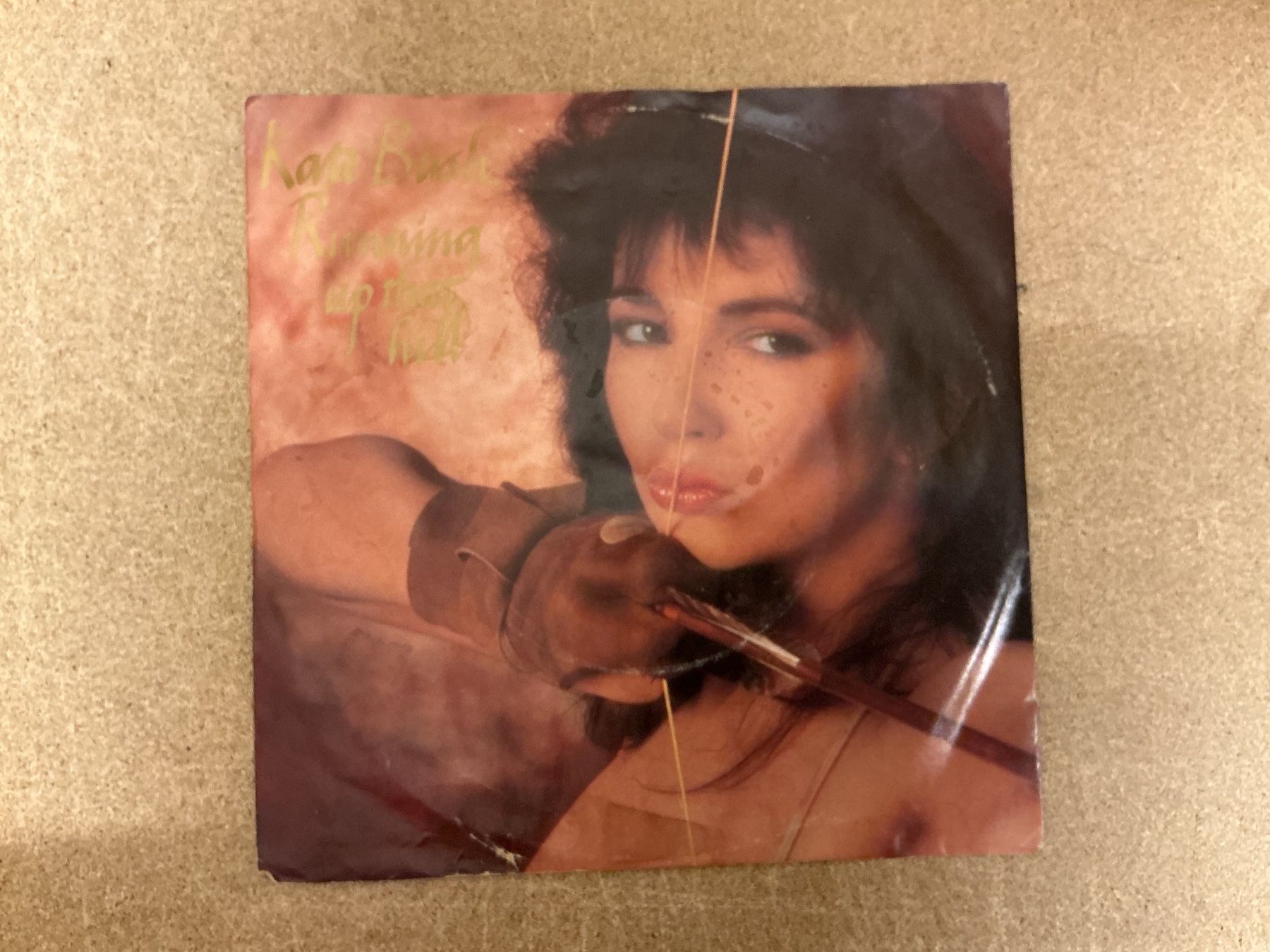 Dischi in vinile: Kate Bush Single - Running Up That Hill – Usato da Winterthur venduto da Tumko-Vinyl