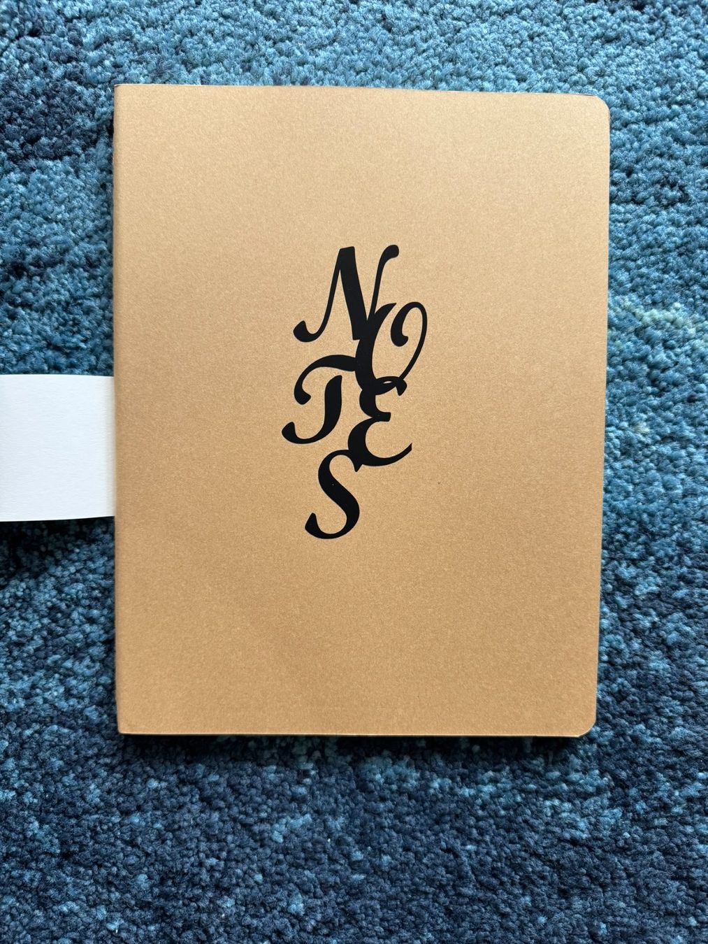 Schreibblöcke: Moleskine Notizbuch Notes, 19x25 cm, 60 Seiten – Neu (gemäss Beschreibung) aus Dübendorf von ZiKarten