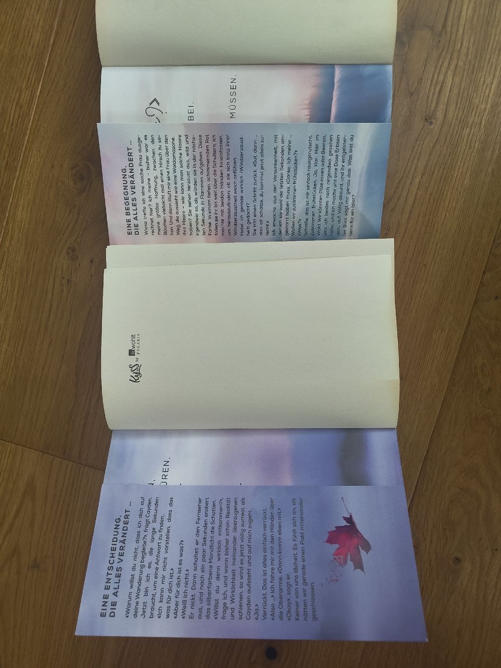 Libri: Kira Mohn "Free Like The Wind" "Wild Like A River" – Usato da Mosnang venduto da san_22nx 3