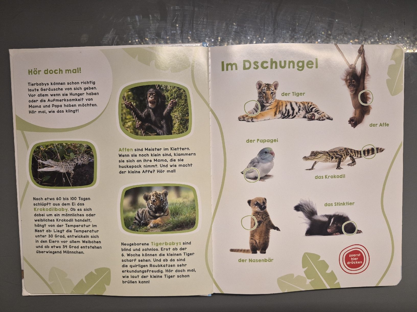 Libri: Geräuschebuch Tierbabys mit 46 Sounds - Spielend Deutsch – Usato da Selzach venduto da Paradiso89 3