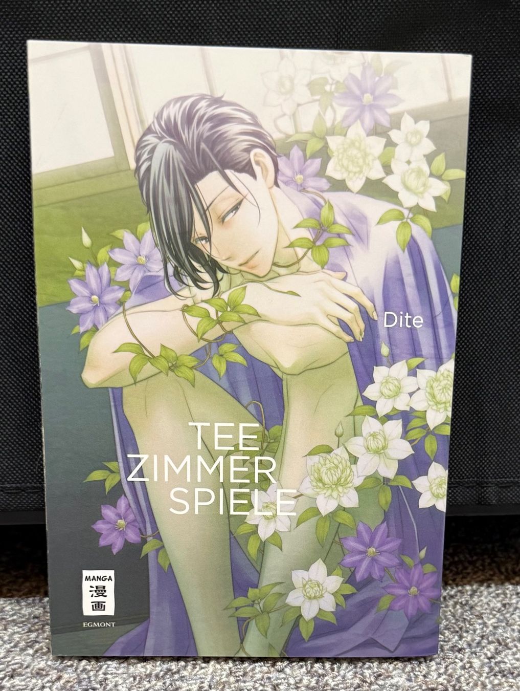 Fumetti: BL Manga: Teezimmerspiele – Nuovo (secondo la descrizione) da Triesen venduto da cla_q2js