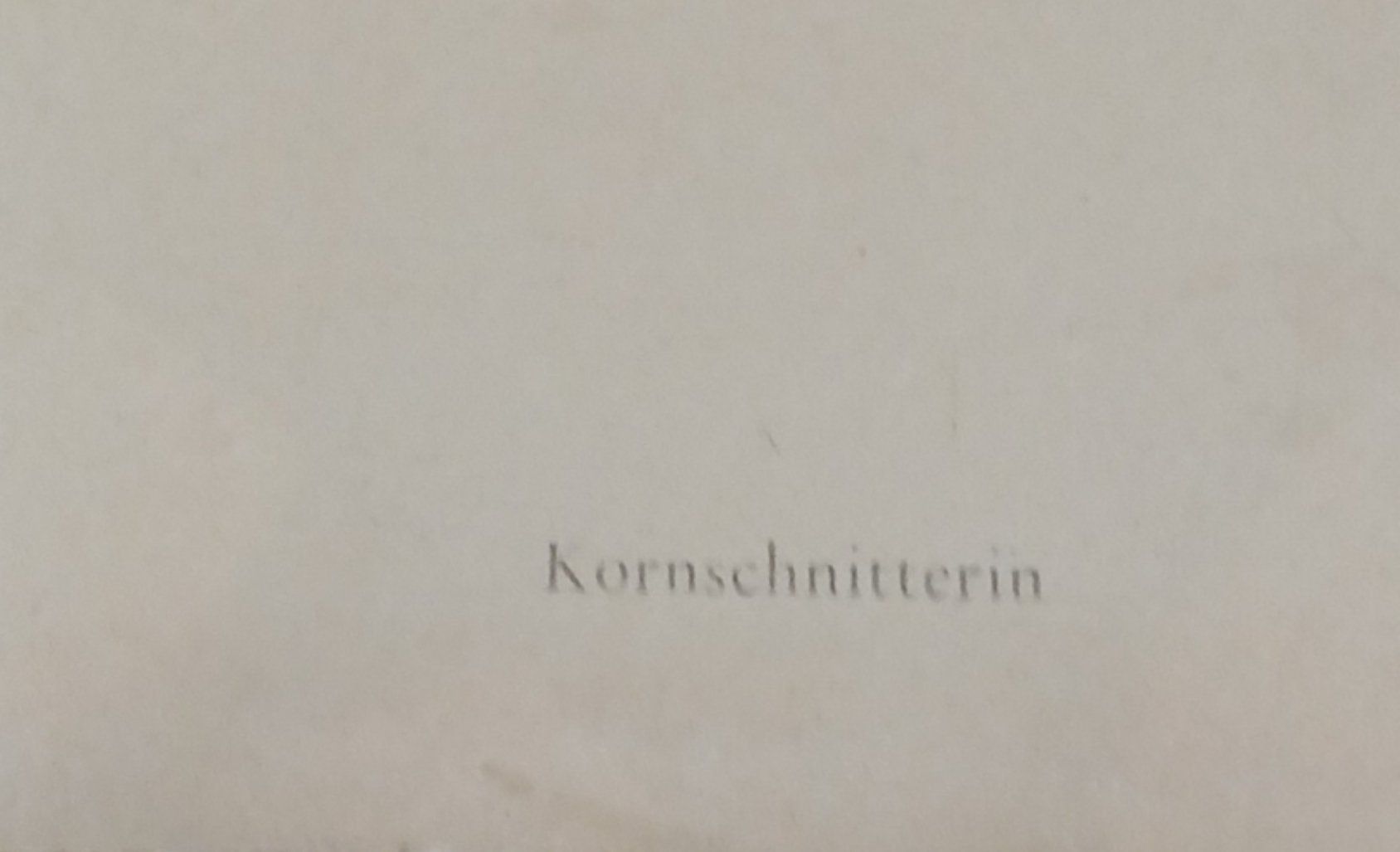 Grafica & Litografie: Alois Carigiet - "Kornschnitterin" – Usato da Hinwil venduto da Unglaubliche-Treffer 4