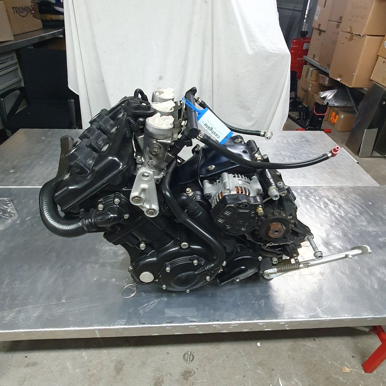 Triumph Motori: Motor Triumph Speed Triple 955i Jg. 2001 – Usato da Widnau venduto da Staedler2 1