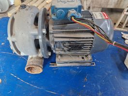 Waschpumpe Hildebrannt 435 Hydro