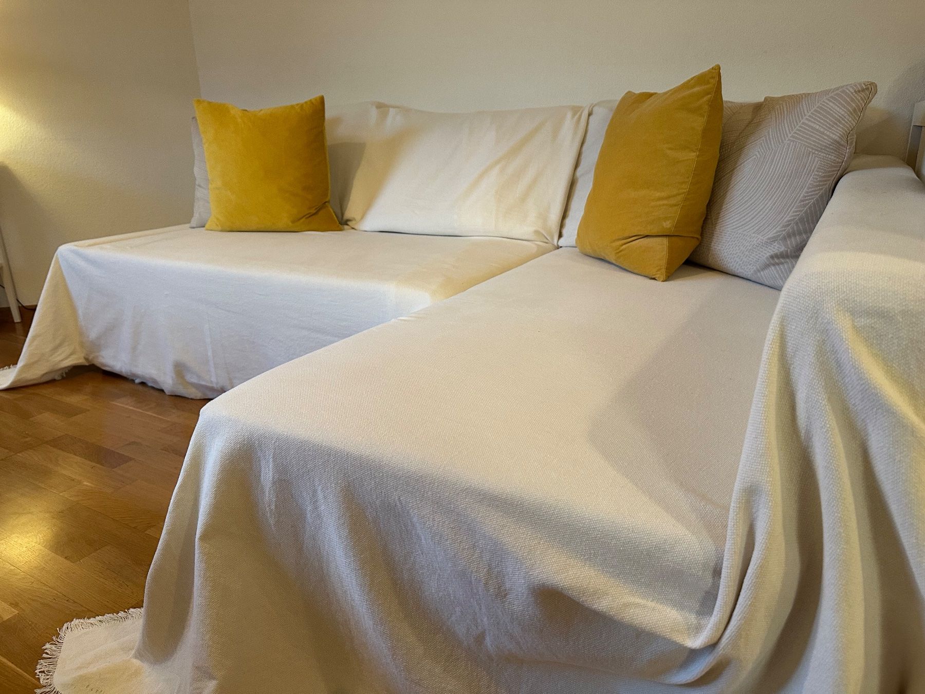 Ikea Cuscini: 2 Cushions with Beige Covers - Excellent Condition – Nuovo (secondo la descrizione) da Wallisellen venduto da var_v7fd 3