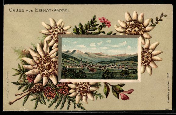 Cartoline postali: Ebnat-Kappel, Totalansicht mit Edelweiss – Usato da Berlin venduto da bartko-reher