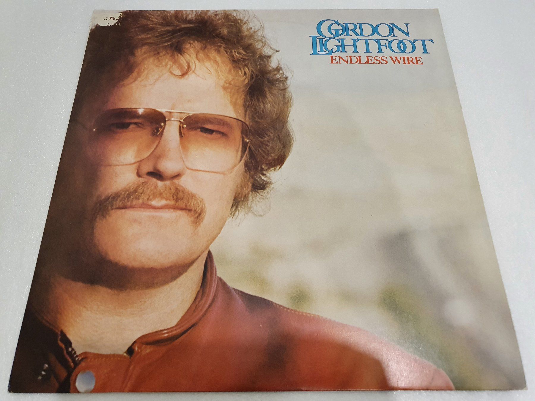 Dischi in vinile: Gordon Lightfoot – Endless Wire – Usato da Uster venduto da Vinyl-Leidenschaft