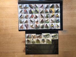 Belgique/Belgien: oiseaux/Vögel