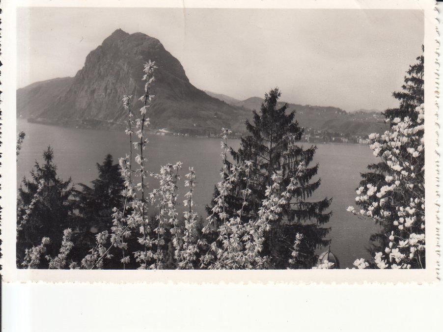 Cartoline postali: San Salvatore 1950 – Usato da Bürglen TG venduto da StampGraf