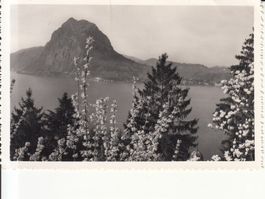San Salvatore 1950