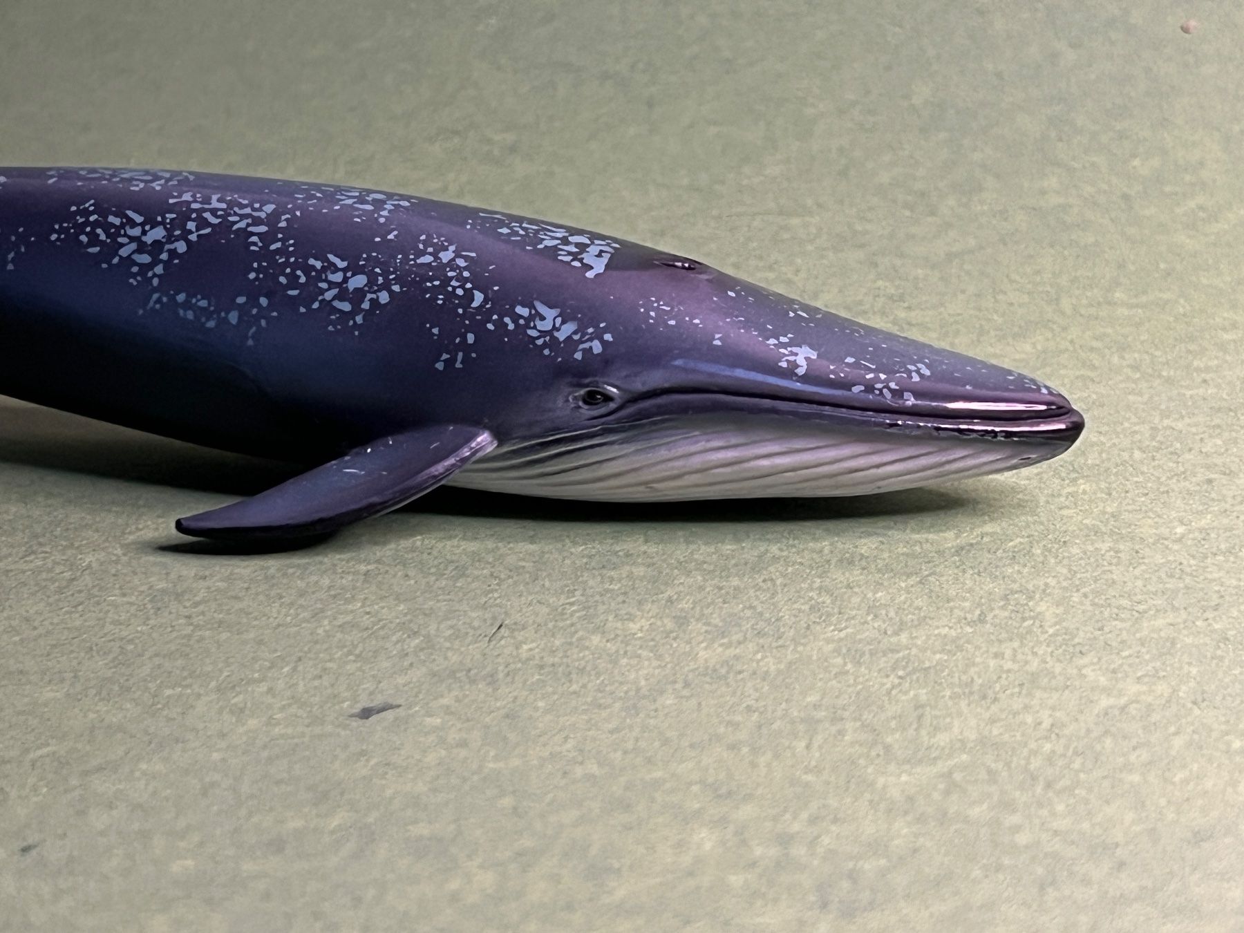 Schleich Statuette: Schleich 14696 Blauwal Wal Wassertier Seetier – Usato da Ennetbaden venduto da mapa05 2